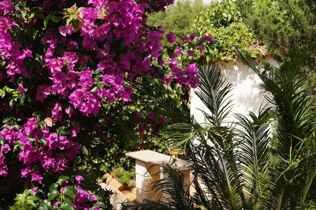 Villa Cala Mendia Cala Mandia  Bagian luar foto