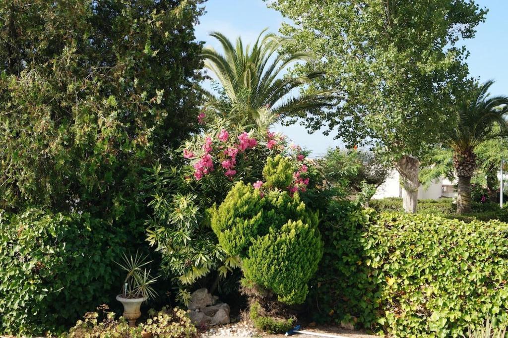 Villa Cala Mendia Cala Mandia  Bagian luar foto